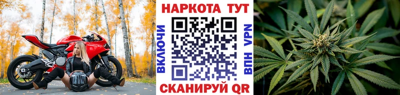 Все наркотики Новая Ладога COCAIN  Мефедрон  Конопля 
