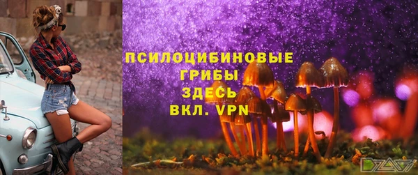гашик Алзамай