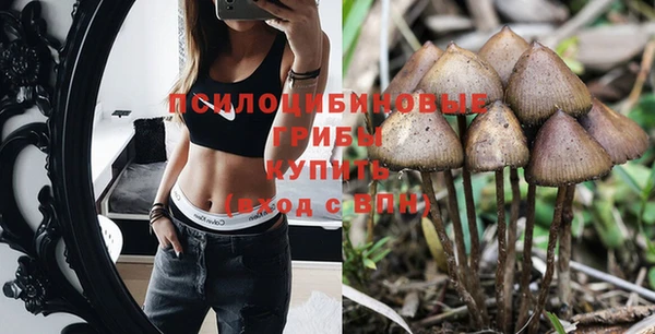 гашик Алзамай