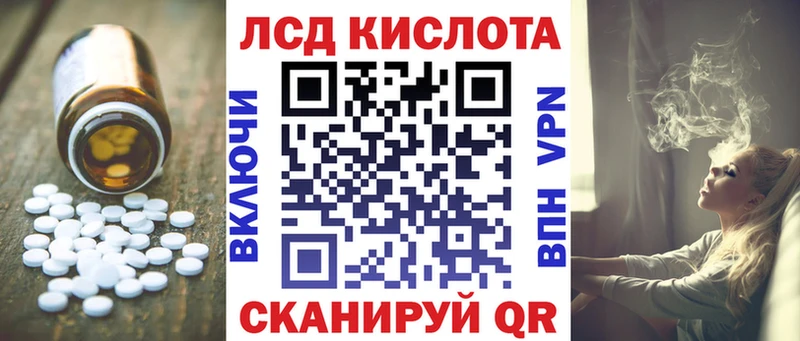 mega Новая Ладога LSD-25 экстази ecstasy сколько стоит
