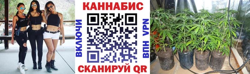 купить наркоту  Новая Ладога  Шишки марихуана Bruce Banner 